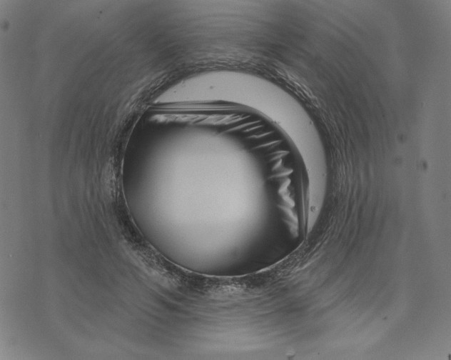 X0000073740594200608241324