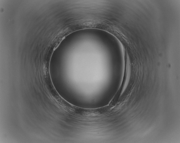 X0000073740597200608241324