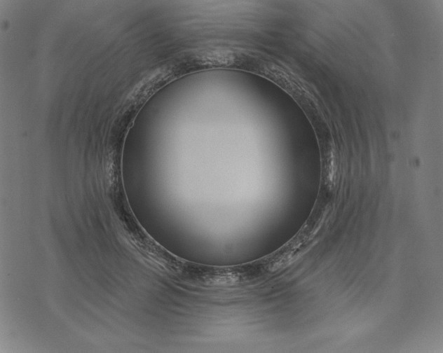X0000073740600200608241324