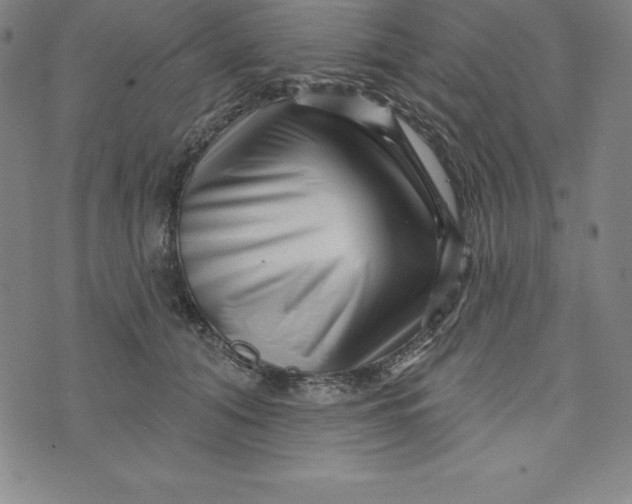 X0000073740608200608241324