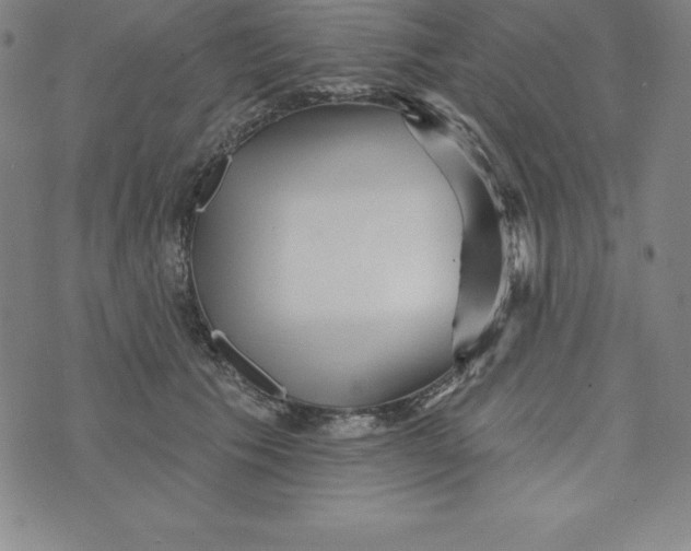 X0000073740609200608241324