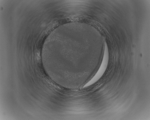 X0000073740610200608241324