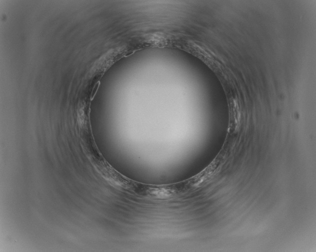 X0000073740611200608241324