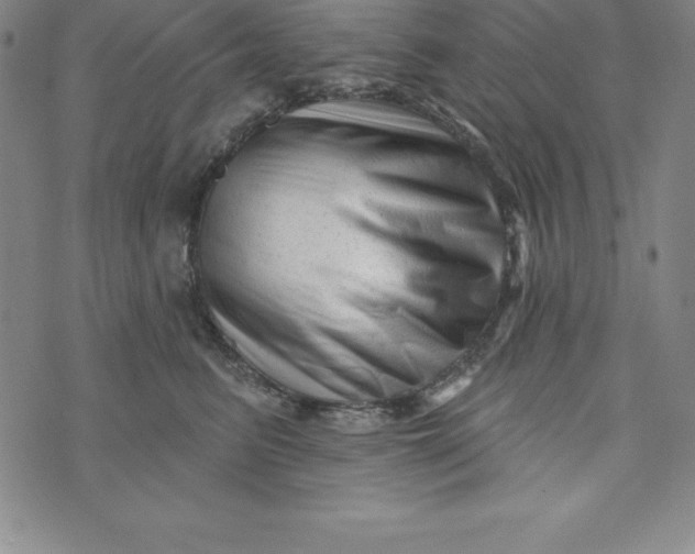 X0000073740615200608241324