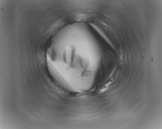 X0000073740620200608241323