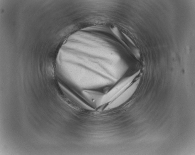 X0000073740622200608241323