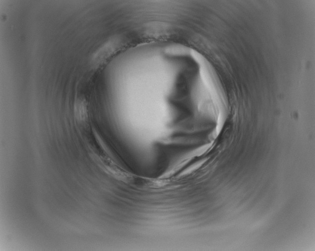 X0000073740623200608241323
