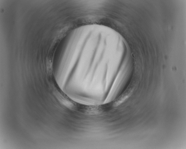 X0000073740624200608241323