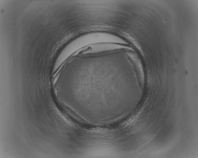 X0000073740633200608241323