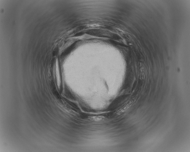 X0000073740654200608241323