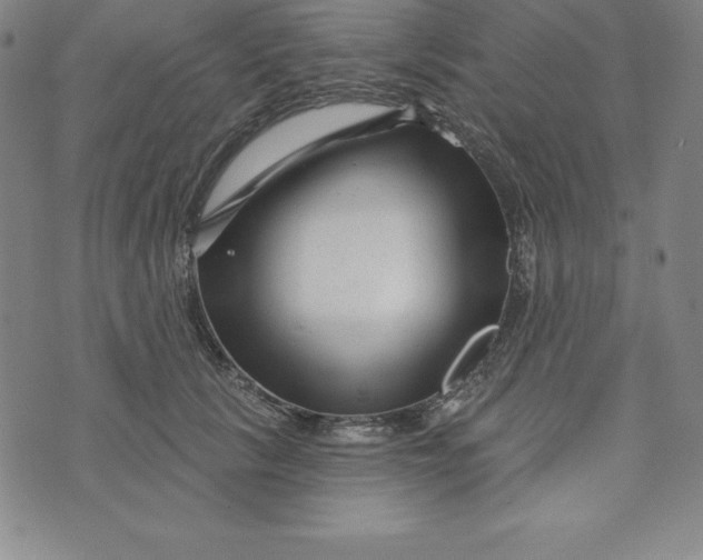X0000073740657200608241323