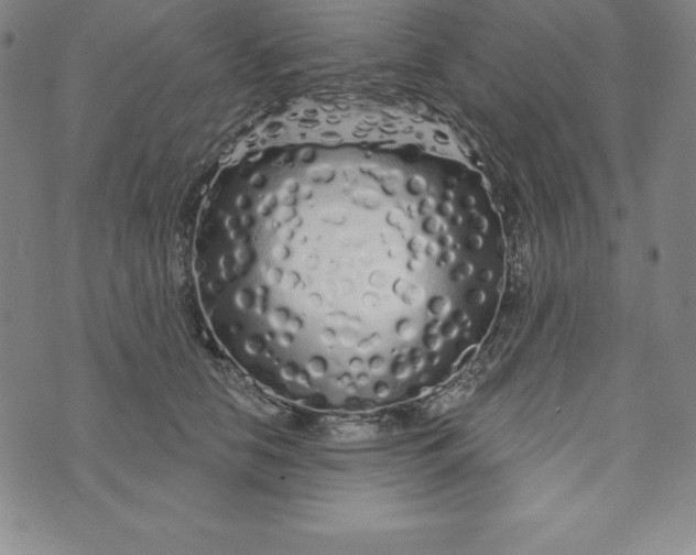 X0000073740658200608241323