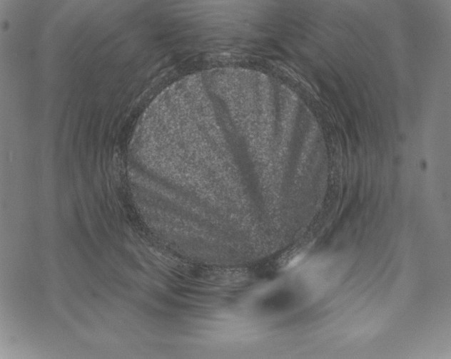 X0000073740659200608241323