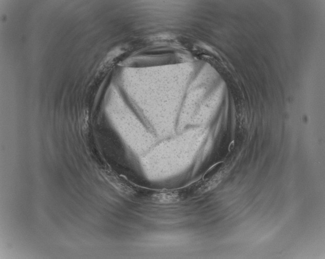 X0000073740660200608241323