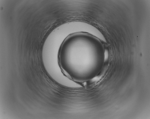 X0000073740661200608241323