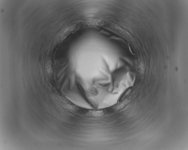 X0000073740665200608241323