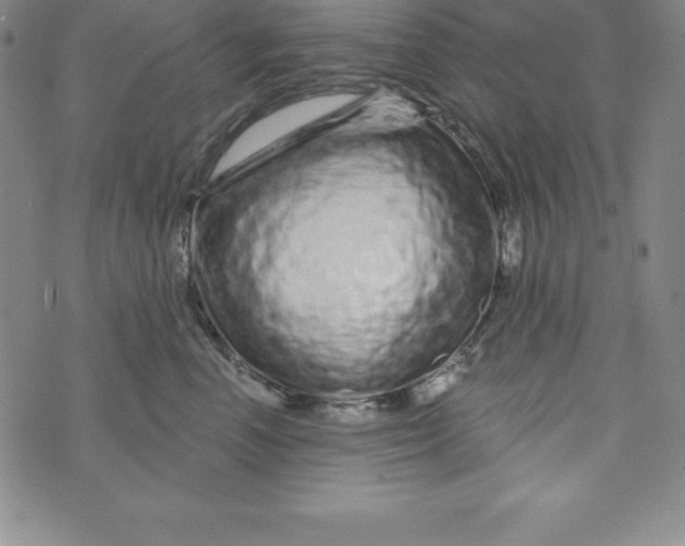 X0000073740666200608241323
