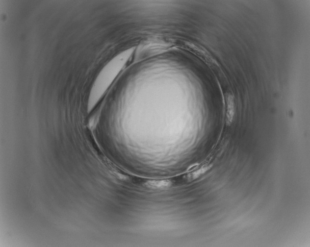X0000073740667200608241323