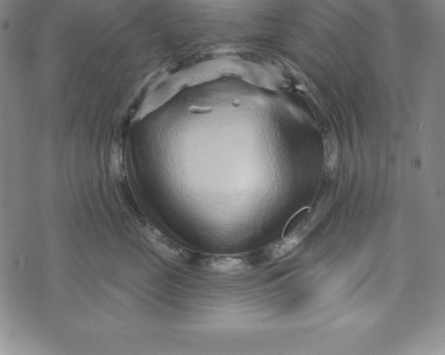 X0000073740669200608241323