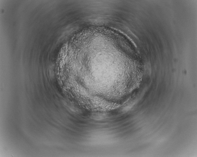 X0000073740671200608241323