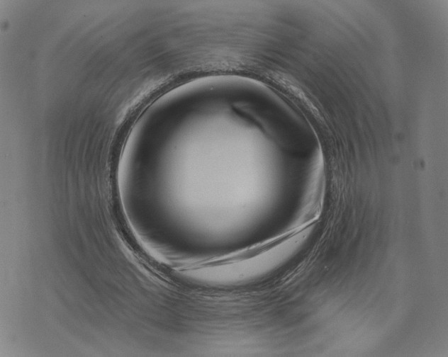X0000073740677200608241323