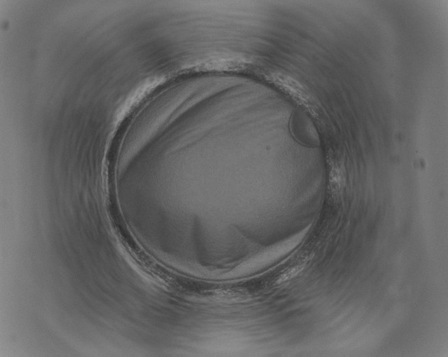 X0000073740678200608241323