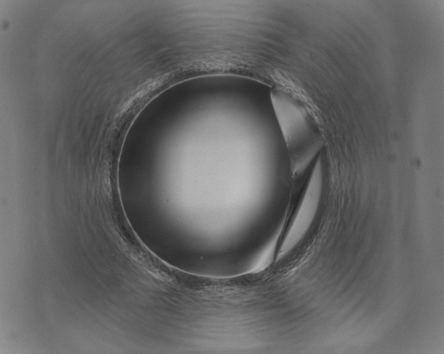 X0000073740681200608241322