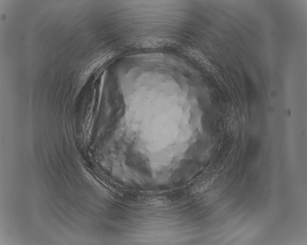 X0000073740683200608241322