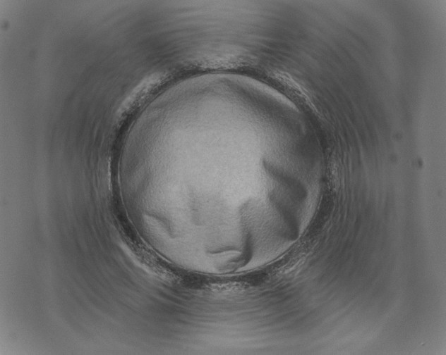 X0000073740686200608241322