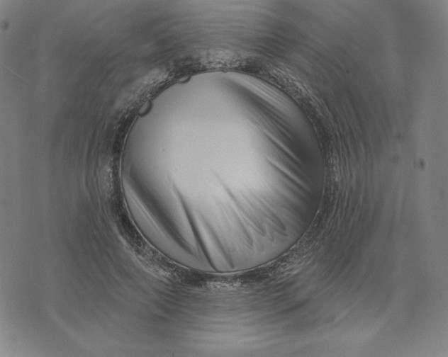 X0000073740690200608241322