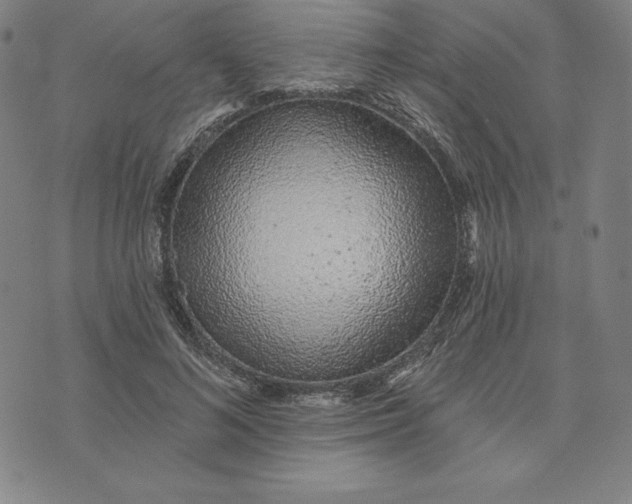 X0000073740692200608241322