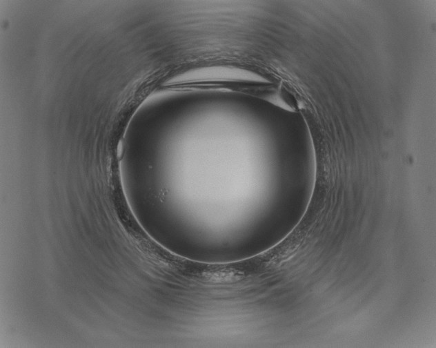 X0000073740693200608241322
