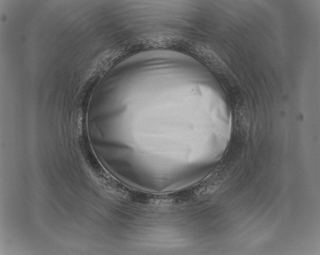 X0000073740694200608241322