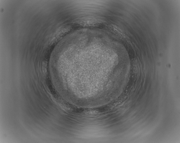 X0000073740695200608241322