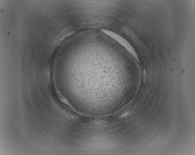 X0000073740696200608241322