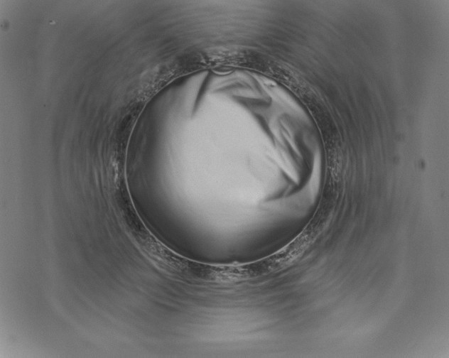 X0000073740703200608241322