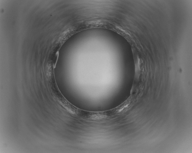 X0000073740708200608241322