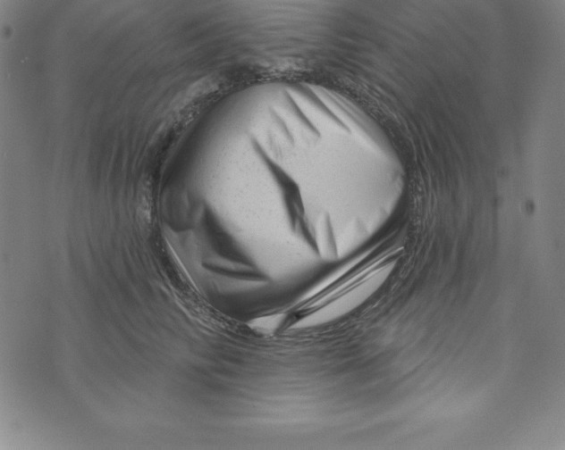 X0000073740710200608241322