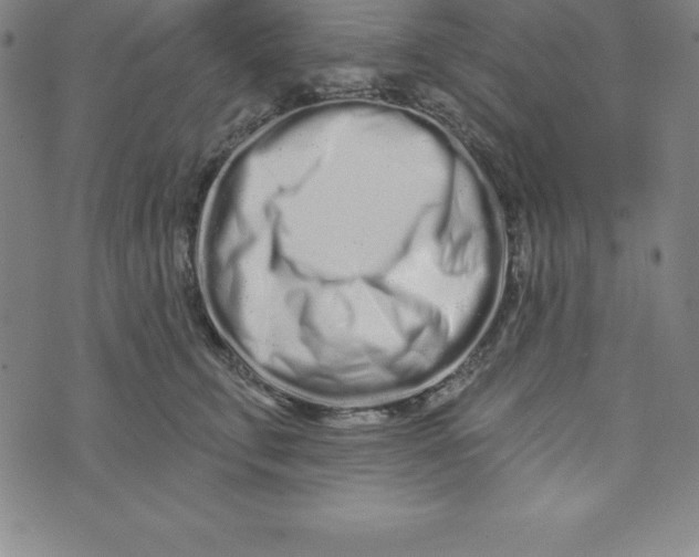 X0000073740711200608241322