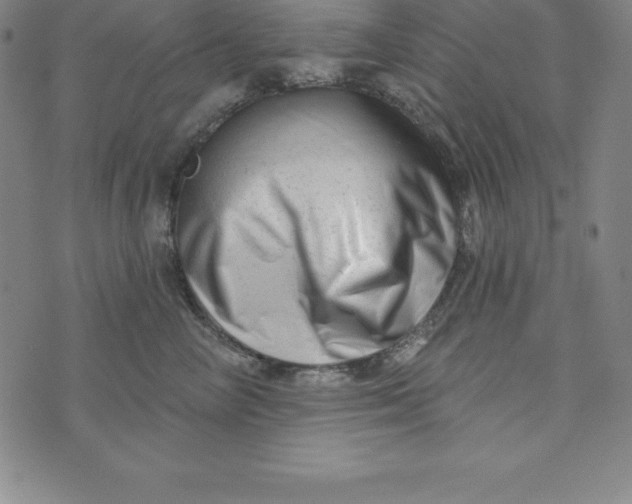 X0000073740714200608241322