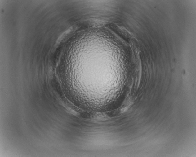 X0000073740716200608241322