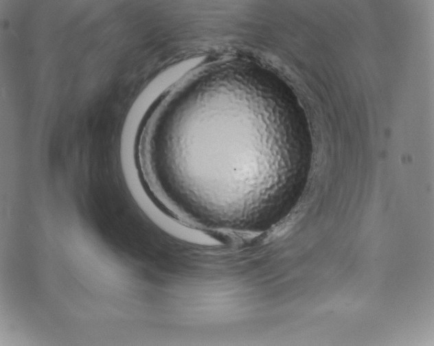 X0000073740720200608241322