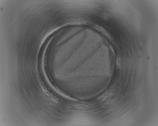 X0000073740724200608241321