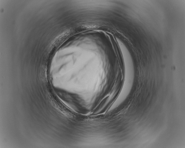 X0000073740733200608241321