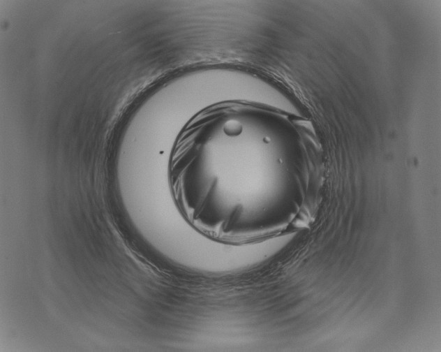 X0000073740736200608241321