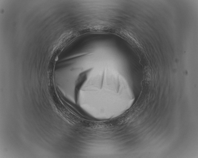 X0000073740738200608241321