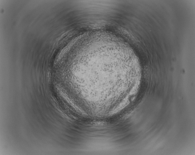X0000073740741200608241321