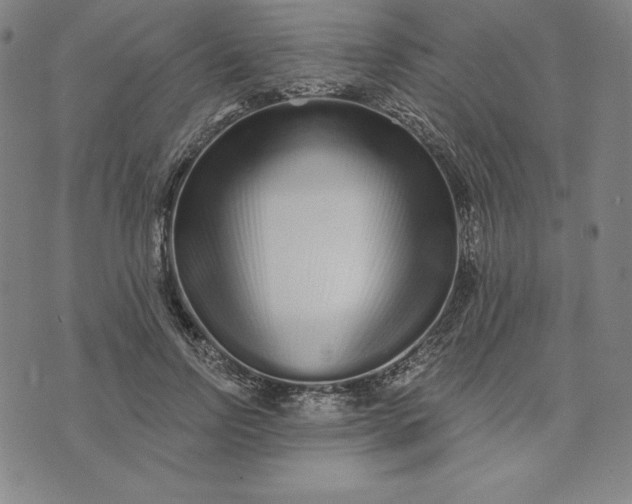 X0000073740742200608241321