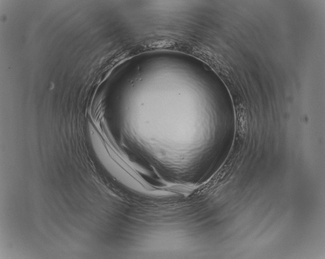 X0000073740745200608241321