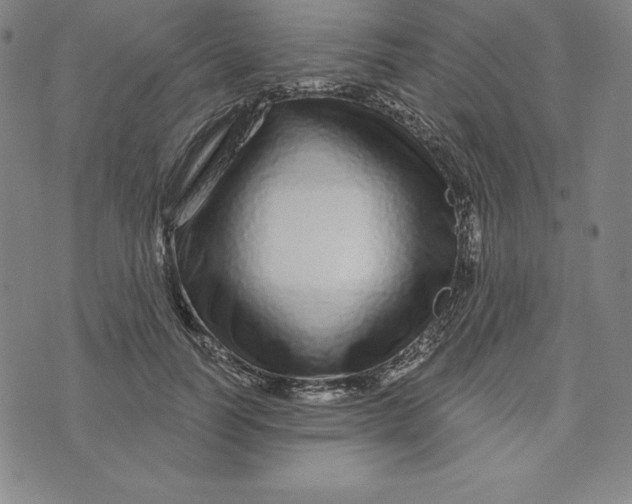 X0000073740746200608241321